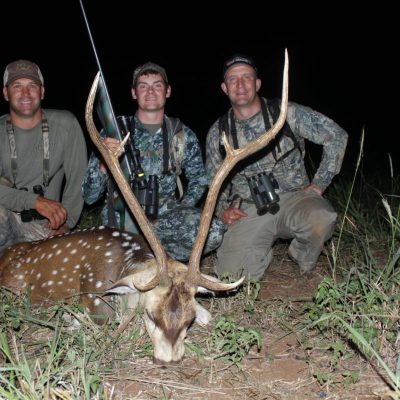 Deer Hunting 19: Hunter Safari PRO 3D for windows download